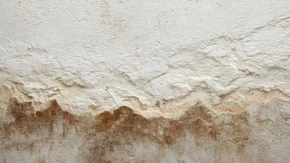 Painted wall with a wavy brown water line
