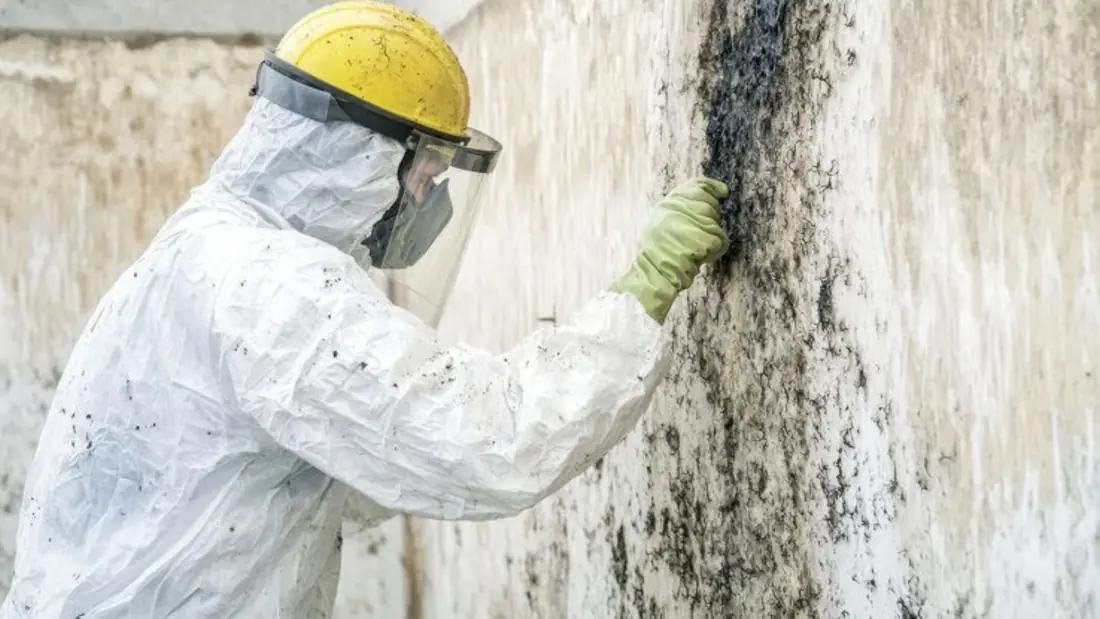 Worker in a hard hat and protective suit inspecting a moldy wall