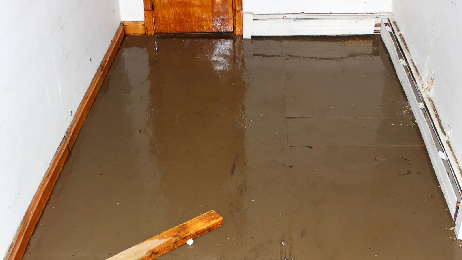 Basement floor covered in murky standing water