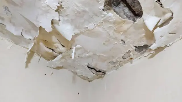 Water-damaged ceiling with peeling, cracked paint