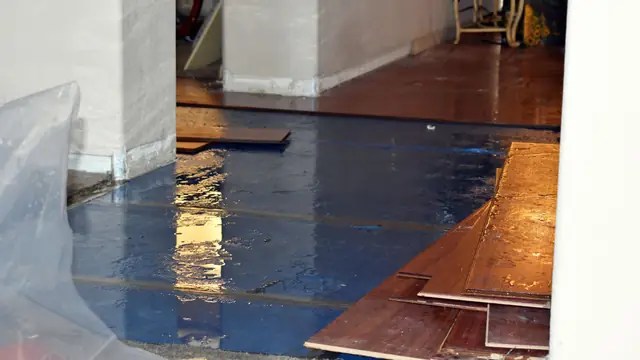 Hardwood boards lifted off a wet blue underlayment